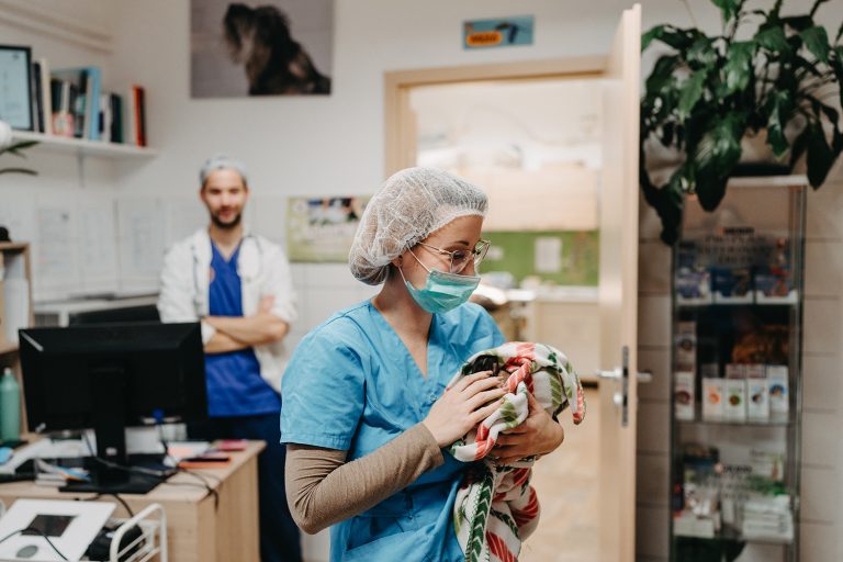 Pille Vet Állatorvosi Rendelő